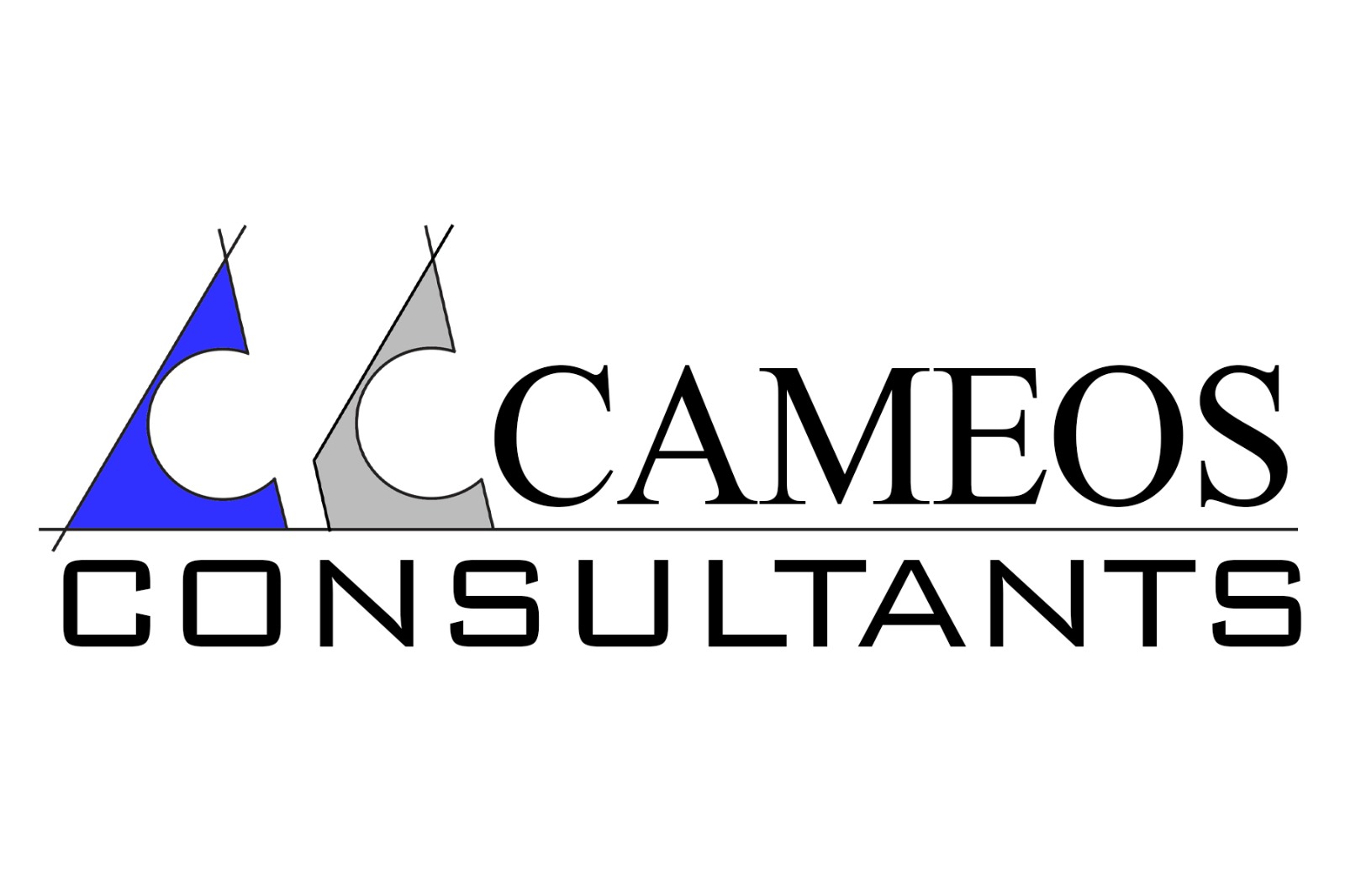 CAMEOS Consultants